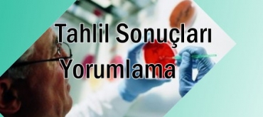 tahlil sonuclari yorumlama