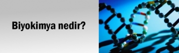 Biyokimya nedir?