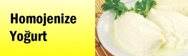 Homojenize Yourt (Hazr Yourt) Zararlar