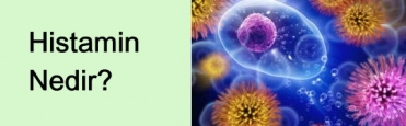Histamin Nedir? 