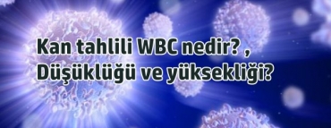 Kan tahlili WBC nedir? dkl ve ykseklii?