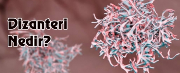 Dizanteri nedir?